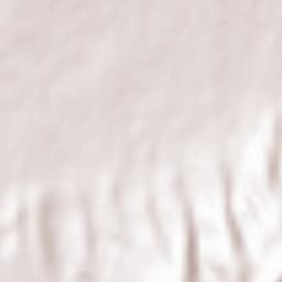 Chasselay Terrain Map