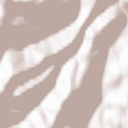 Comuna Veţel Terrain Map