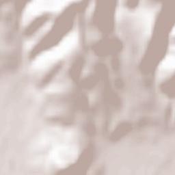 Rapoltu Mare Terrain Map