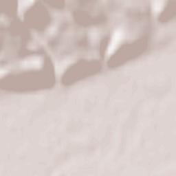 Comuna Rapoltu Mare Terrain Map