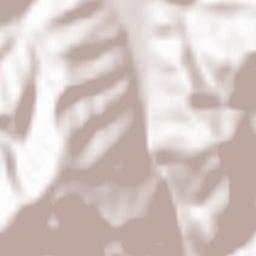 Comuna Pianu Terrain Map