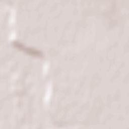 Cosmeşti Terrain Map