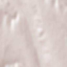 Târgu Bujor Terrain Map