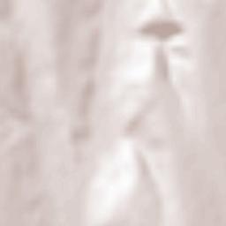 Oraș Târgu Bujor Terrain Map