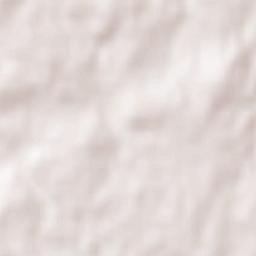 Cognac-la-Forêt Terrain Map