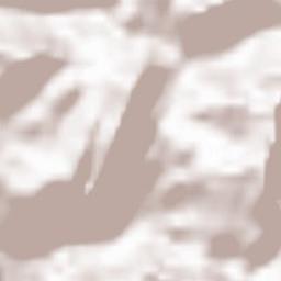 Gressoney-La-Trinitè Terrain Map