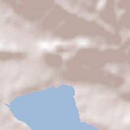 Comerio Terrain Map