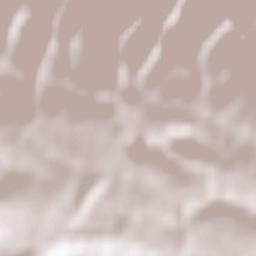 Casciago Terrain Map