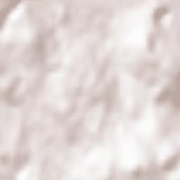 Velike Lašče Terrain Map