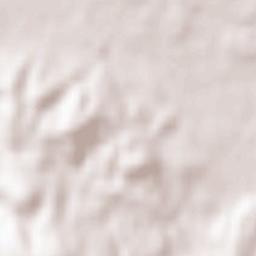 Kostanjevica na Krki Terrain Map