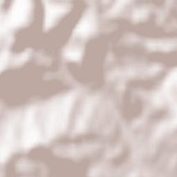 Cârjiţi Terrain Map