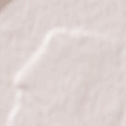 Şercaia Terrain Map