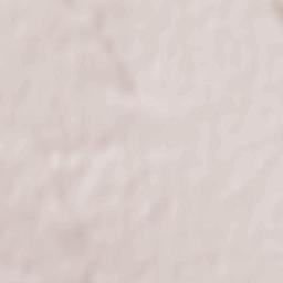 Boloteşti Terrain Map