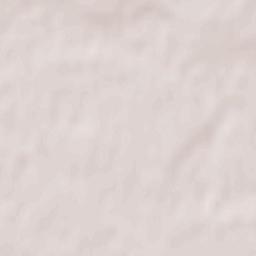 Krasnogvardeyskoye Terrain Map