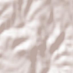 Rozier-en-Donzy Terrain Map