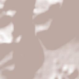 Borso del Grappa Terrain Map