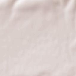 Oraş Recaş Terrain Map