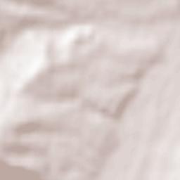 Peștișu Mare Terrain Map