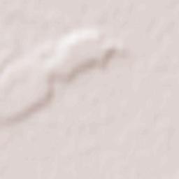 Feldioara Terrain Map