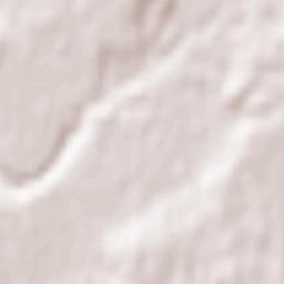 Vedano Olona Terrain Map