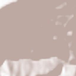 Stravignino Terrain Map