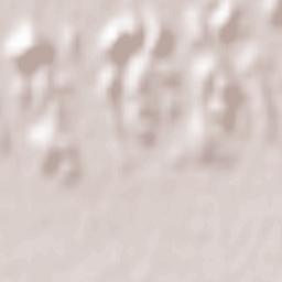 San Zenone degli Ezzelini Terrain Map