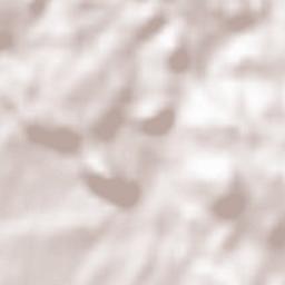 Postojna Terrain Map