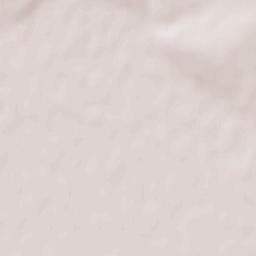 Topolovăţu Mare Terrain Map