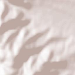 Sălişte Terrain Map