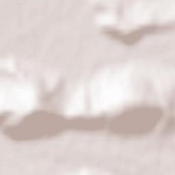 Păpăuți Terrain Map