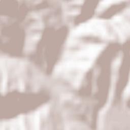 Comuna Mera Terrain Map