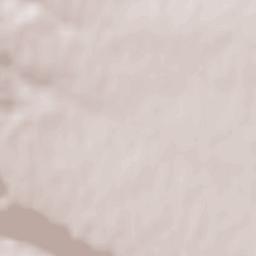 Jariştea Terrain Map