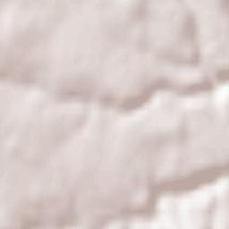 Craponne Terrain Map