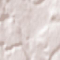 Tassin-la-Demi-Lune Terrain Map