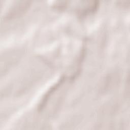 Veliki Grđevac Terrain Map