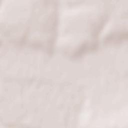 Coşteiu Terrain Map