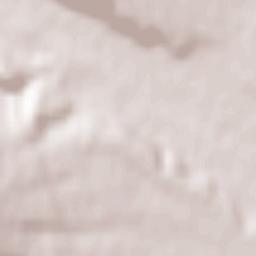 Broşteni Terrain Map