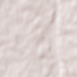 Saint-Projet-Saint-Constant Terrain Map