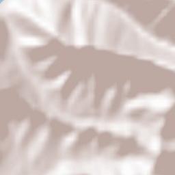 Gavarno Rinnovata Terrain Map