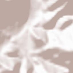 Berzo San Fermo Terrain Map