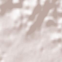 Provincia di Trieste Terrain Map