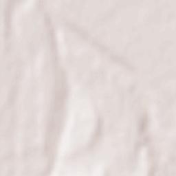 Arpașu de Sus Terrain Map