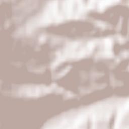 Nereju Mic Terrain Map