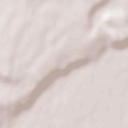 Satolas-et-Bonce Terrain Map