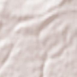 Besana in Brianza Terrain Map