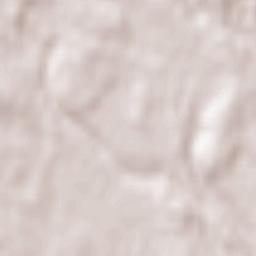 Rogoredo-Valaperta-Rimoldo Terrain Map