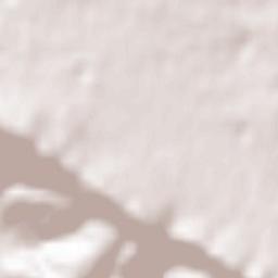 Villa Opicina Terrain Map