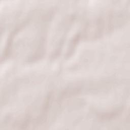 Grubišno Polje Terrain Map