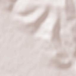 Municipiul Lugoj Terrain Map