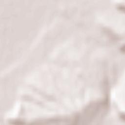 Racoviţa Terrain Map